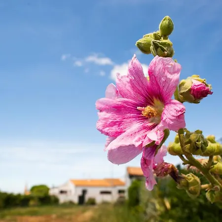 Hotel Les Vignes De La Chapelle, 