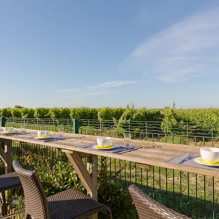 Les Vignes De La Chapelle, 