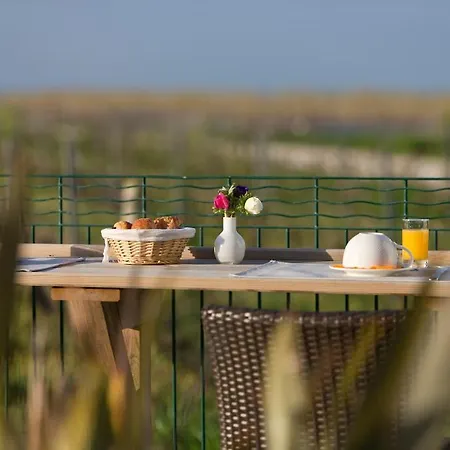 Les Vignes De La Chapelle, 