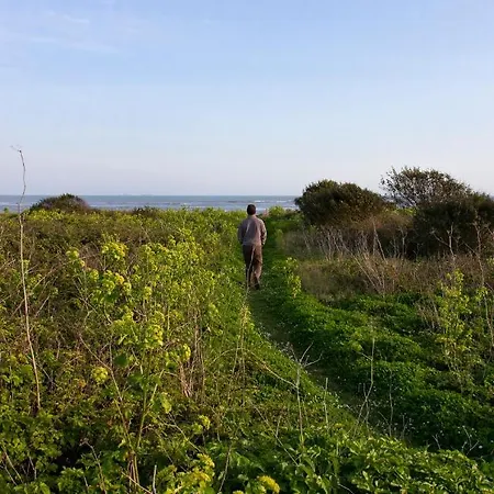 Les Vignes De La Chapelle, 