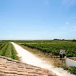 Les Vignes De La Chapelle, 