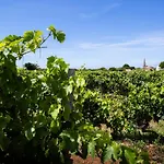 Les Vignes De La Chapelle, The Originals Relais Hotel