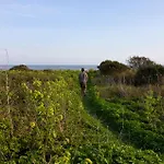 Les Vignes De La Chapelle, 