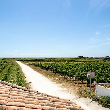 Les Vignes De La Chapelle, The Originals Relais 4*