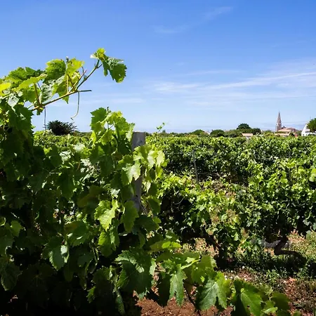 Les Vignes De La Chapelle, The Originals Relais Hotel