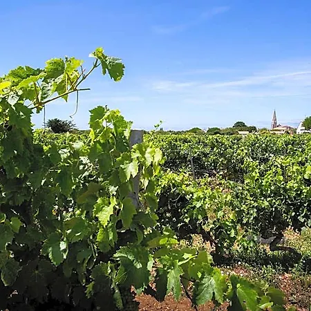 Les Vignes De La Chapelle, 