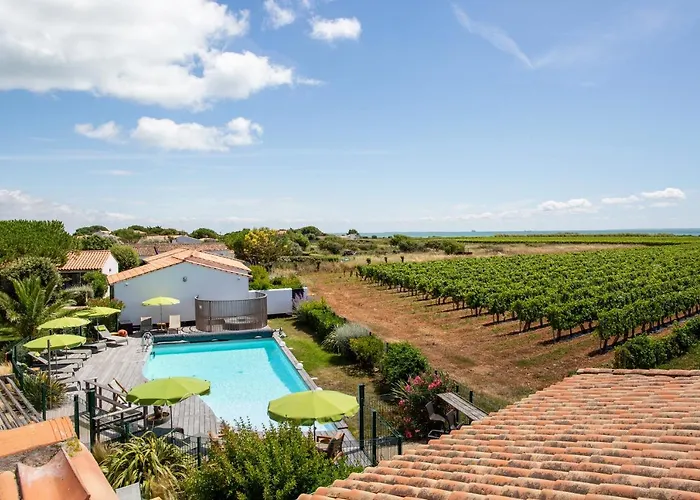Les Vignes De La Chapelle, 