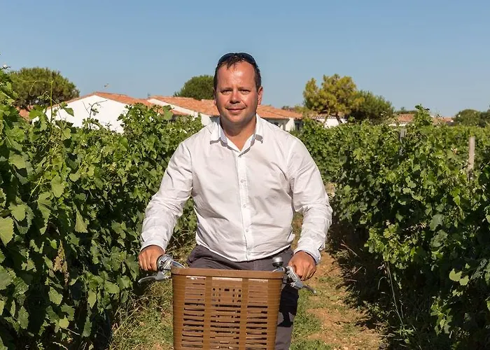 Les Vignes De La Chapelle, 
