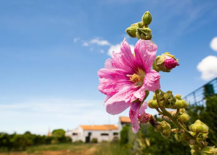 Hotel Les Vignes De La Chapelle, 
