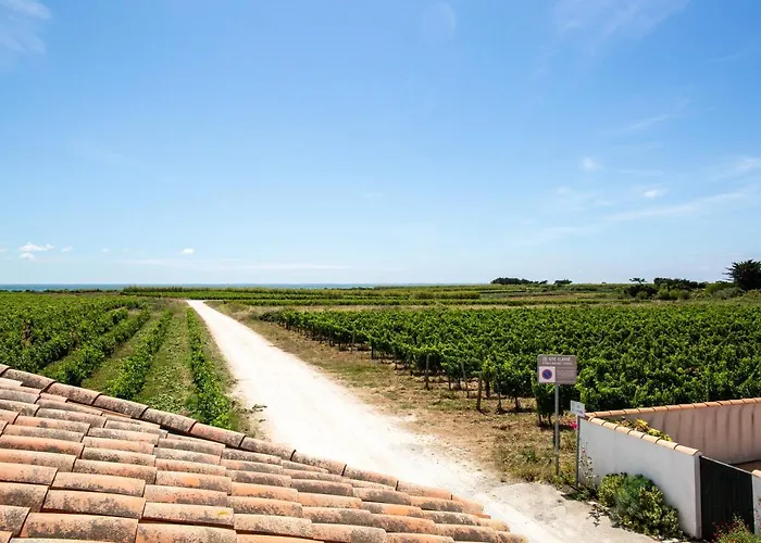 Les Vignes De La Chapelle, 