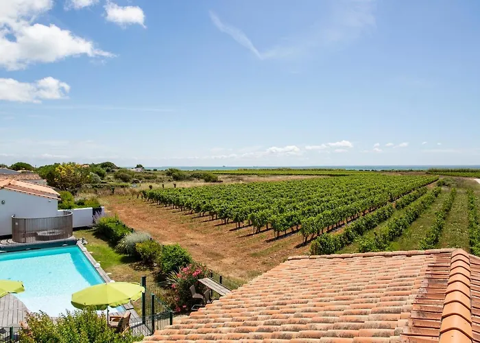 Les Vignes De La Chapelle, 