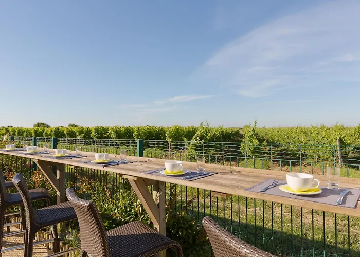 Les Vignes De La Chapelle, 