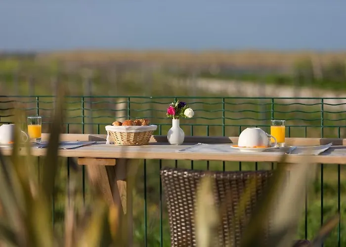 Les Vignes De La Chapelle, 