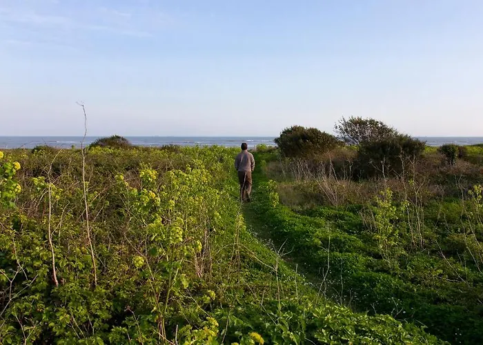 Les Vignes De La Chapelle, 