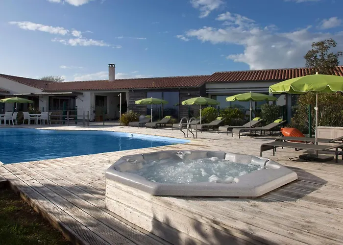 Les Vignes De La Chapelle, 